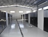 تعرف على أهم المعلومات عن "شيلتر" إيواء الكلاب الضالة الجديد بجنوب بورسعيد