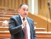 محمد زين الدين: مشاركة الرئيس بالبريكس تؤكد دعم مصر للقضية الفلسطينية