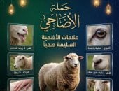 6 علامات تدل على سلامة الأضحية.. "بيطرى دمياط" توضحها