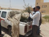 محافظ جنوب سيناء يستجيب لمتضررى تجمع النهايات برأس سدر ويوجه بتعويضهم