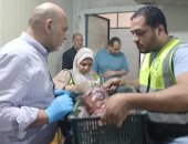 ضبط 3 أطنان دواجن فاسدة داخل مجزر بحملة بيطرية فى القليوبية