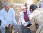 تسليم 216 رأس أغنام وماعز لـ100 أسرة منتجة بالفتح ومنفلوط بأسيوط 