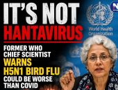 خبيرة تحذر: فيروس إنفلونزا الطيور H5N1 قد يصبح أكثر خطورة من كورونا