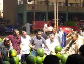 البطيخة تبدأ من 15 جنيها.. مزاد البطيخ فى سوق الجملة ببنها.. فيديو 