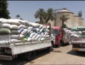 توريد 136 ألف طن قمح بسوهاج واستبعاد الكميات غير المطابقة للمواصفات