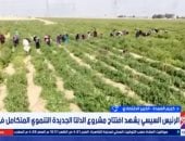 خبير: التوسع الأفقي في الرقعة الزراعية خطوة استباقية لمواجهة التحديات العالمية