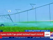 خبير: الدلتا الجديدة ركيزة لدعم الأمن الغذائي وتقليل الفجوة الاستيرادية