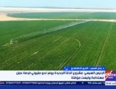 خبير: الدلتا الجديدة تحصن الاقتصاد القومي ضد صدمات الأسعار العالمية