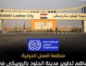 منظمة العمل تشيد بتطوير مدينة الجلود بالروبيكى: ساهم فى نمو سوق الدباغة