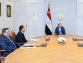 توجيهات رئاسية بخفض الاعتماد على الوقود التقليدى وتعزيز فرص الاستثمار فى الطاقة
