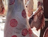 بيطرى أسوان: تشغيل تجريبى لمجزرى دراو وكلح الجبل ضمن خطة تطوير