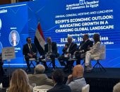 نائب رئيس الوزراء: الاستثمار في مصر يحتاج لثقة ووضوح وتنافسية
