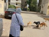 بيطرى الشرقية يشن حملات تحصين الكلاب بالزقازيق والعاشر من رمضان