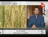 الزراعة: توريد القمح تجاوز 3.5 مليون طن حتى الآن.. ولا توجد أزمة فى الطماطم
