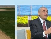 خبير: جهاز مستقبل مصر ينتج نحو مليونى طن من بنجر السكر سنويا