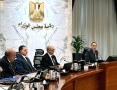 الحكومة تقدم حزمة إجراءات تحفيزية استثنائية لشركات الطيران العاملة بمصر