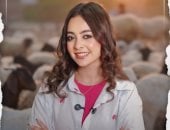 غرامة تصل إلى 10 آلاف جنيه.. عقوبات ذبح الأضاحى فى الشوارع خلال العيد.. فيديو