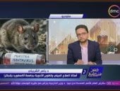 أستاذ مناعة ببرنامج مصر تستطيع: لا مقارنة بين كورونا وفيروس هانتا