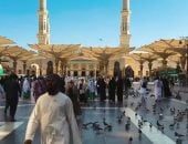 ساعة الصفر تقترب.. بعثة الحج تتحرك لضمان راحة الحجاج في عرفات.. مخيمات ألمانية مكيفة وشاشات عرض وثلاجات مجانية.. تيسيرات ذكية واستنفار طبى وخطة لمواجهة ارتفاع درجات الحرارة