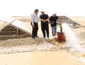 محافظ الوادي الجديد: فتح باب التقديم لمشروع الواحات الخضراء بعد إجازة عيد الأضحى