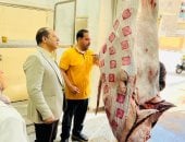 24 مجزرا لاستقبال عيد الأضحى بمحافظة الدقهلية.. اعرف التفاصيل
