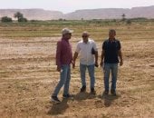 محافظة سوهاج تنفى زراعة أراضى خضراوات على مياه الصرف الصحى بالكولة