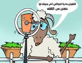 آخر جولة.. خروف العيد يودّع أصدقاءه بكاريكاتير اليوم السابع