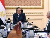 رئيس الوزراء يلتقى الرئيس التنفيذى والعضو المنتدب لشركة السويدى إلكتريك