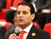 نائب: أطروحات الرئيس السيسى فى الاتصال المشترك تعكس قيادة حكيمة وقوية