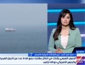 خبير: المقاربة المصرية تعزز المسار الدبلوماسى ونترقب اتفاقا بين واشنطن وطهران