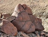 العثور على نقوش صخرية تعود لعصور ما قبل التاريخ فى سلطنة عمان