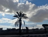 طقس ربيعى يسيطر على شمال سيناء.. وشبورة مائية خفيفة فى الصباح الباكر