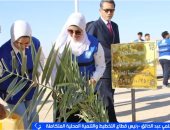 200 ألف شجرة.. التنمية المحلية تعلن انتهاء المرحلة الرابعة من 100 مليون شجرة