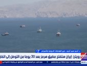 خبير: مصر تسعى لبناء جدار دولى لخفض التصعيد بالمنطقة