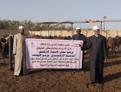الأوقاف تتابع تجهيز الأضاحى بمجازر أبو سمبل استعدادًا لعيد الأضحى.. صور