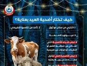وزارة الصحة تقدم نصائح هامة لاختيار أضحية العيد.. إنفوجراف 