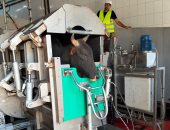 بدء ذبح أضاحى الأوقاف بالمجازر المعتمدة تحت إشراف بيطرى متخصص تمهيدًا لتوزيعها