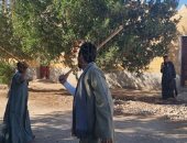 الحلقة للفرسان.. التحطيب في سوهاج تراث متوارث وميدان للتنافس في فنون المبارزة بالعصا.. قواعد صارمة تحكم اللعبة.. الساحات تشتعل فى الموالد والأفراح.. والعائلات تدفع بأشهر فرسانها لحصد الهيبة والنقاط.. صور