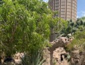 تاريخ يمتد لـ 150 عاما بـ 5 جنيهات.. حديقة الأسماك تستقبل زوارها بالعيد.. فيديو