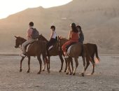 متعتك فى الرحلة دى.. رحلات السفارى الجبلية بغرب الأقصر وجهة السياح من أنحاء العالم.. رحلة العمر للأجانب تبدأ من اسطبلات الخيول والجمال.. وصحراء البر الغربى بالإضافة لتحليق البالون الطائر رغبة أوروبية أولى.. صور