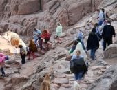 سانت كاترين تستقبل 520 سائحا من مختلف الجنسيات لزيارة دير سانت كاترين وجبل موسى