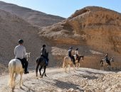 سحر الصحراء وجمال الجبال.. سفاري الخيول بغرب الأقصر تجذب سياح العالم
