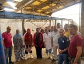مجزر جامعة الإسكندرية: ذبح 1226 رأس ماشية منذ بداية عيد الأضحى