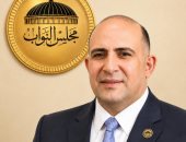 نائب: مشاركة مصر فى قمة السبع الكبرى دلالة على ثقلها السياسى
