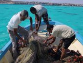 شباك الصيد خطر يهدد الشعاب المرجانية فى البحر الأحمر.. فرق ودوريات من إدارة المحميات الطبيعية لإنقاذ الكائنات البحرية من الفخ القاتل.. الشباك غير المصرح بها لا تفرق بين المسموح به والممنوع.. صور