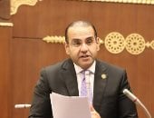 برلمانى: العلمين الجديدة تؤكد قدرة الدولة على صناعة المستقبل