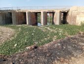 أهالى العياط يطالبون محافظتى الجيزة وبنى سويف بسرعة التدخل لاحتواء تلوث مصرف اللبينى