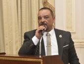 نائب بالشيوخ: مصر ستظل صوتا للحكمة والعقل فى مواجهة دعوات التصعيد والفوضى