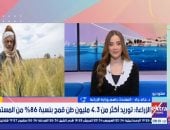 الزراعة: توريد القمح يتجاوز 4.3 مليون طن لأول مرة