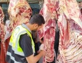 حملات تفتيشية على 121 منشأة غذائية بالإسماعيلية لضمان سلامة الغذاء